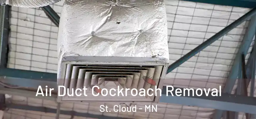 Air Duct Cockroach Removal St. Cloud - MN