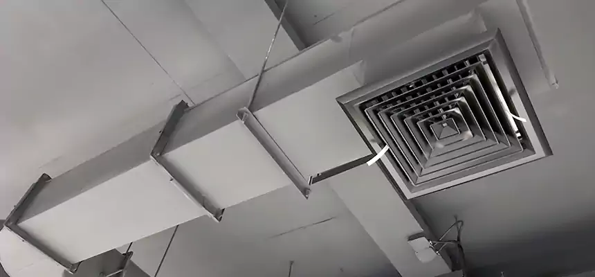 Our Pest Removal From Ducts Services in St. Cloud, MN