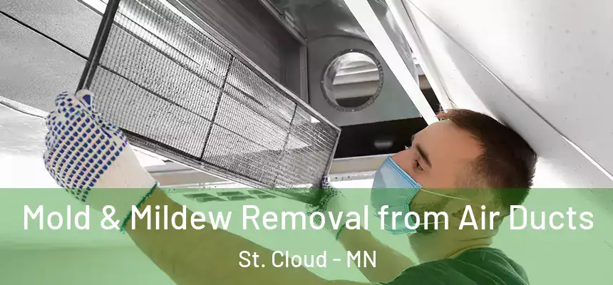  Mold & Mildew Removal from Air Ducts St. Cloud - MN