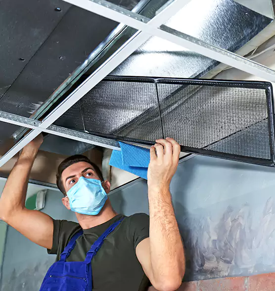 Professional Air Duct Pollen Cleaning in St. Cloud, MN