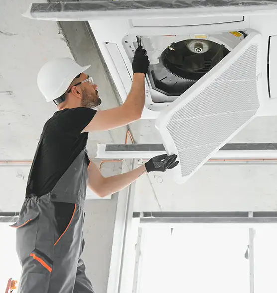 About Air Duct Rodent Removal in St. Cloud, MN