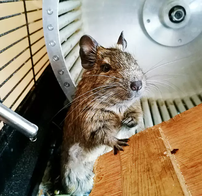 Why Homeowners & Businesses Trust Us St. Cloud, MN