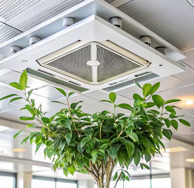 Why Homeowners & Businesses Trust Us in St. Cloud, MN?